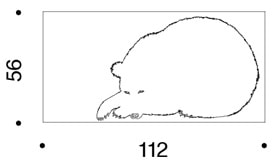 Danese Sei, l’Orso serigrafia