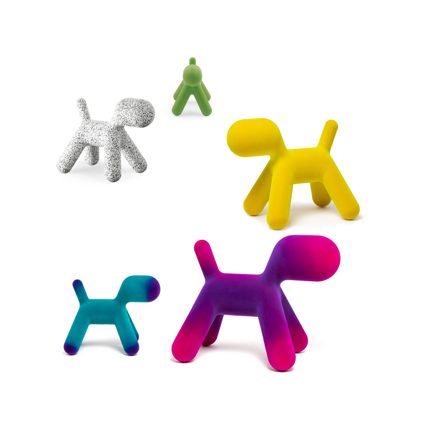 Puppy cane astratto